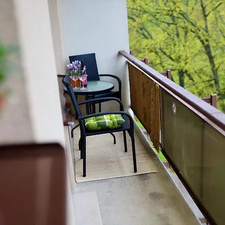Apartment Pils Ielas *